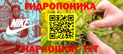 мяу мяу мука Будённовск