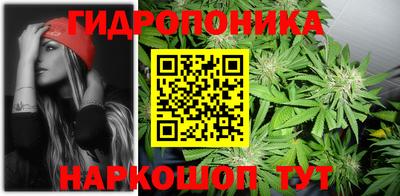 мяу мяу мука Будённовск