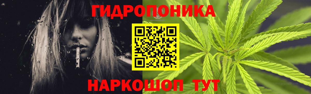 Свободный  Конопля Bruce Banner  Бошки марихуана семена  МАРИХУАНА Ganja  Вход с VPN 